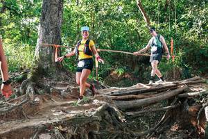 BIB: 
                            <button type="button" onclick="openModal(27553919)" class="btn btn-primary btn-sm float-right btn-popup" data-toggle="modal" data-target=".modal-high-quality">
                        <i class="fas fa-shopping-cart"></i> Add to Cart
                    </button>
                                            <button type="button" onclick="isThisMe(27553919, true)" class="btn btn-success btn-sm float-right btn-popup btn-isme hidden" data-toggle="tooltip" data-placement="bottom" title="นี่คือรูปของคุณใช่ไหม คลิกที่นี่เพื่อเอาเข้าอัลบั้ม">
                        <i class="fas fa-plus"></i> Add to album
                    </button>
                    <button type="button" onclick="isThisMe(27553919, false)" class="btn btn-warning btn-sm float-right btn-popup btn-isnotme hidden">
                        <i class="fas fa-ban"></i> Remove from album
                    </button>